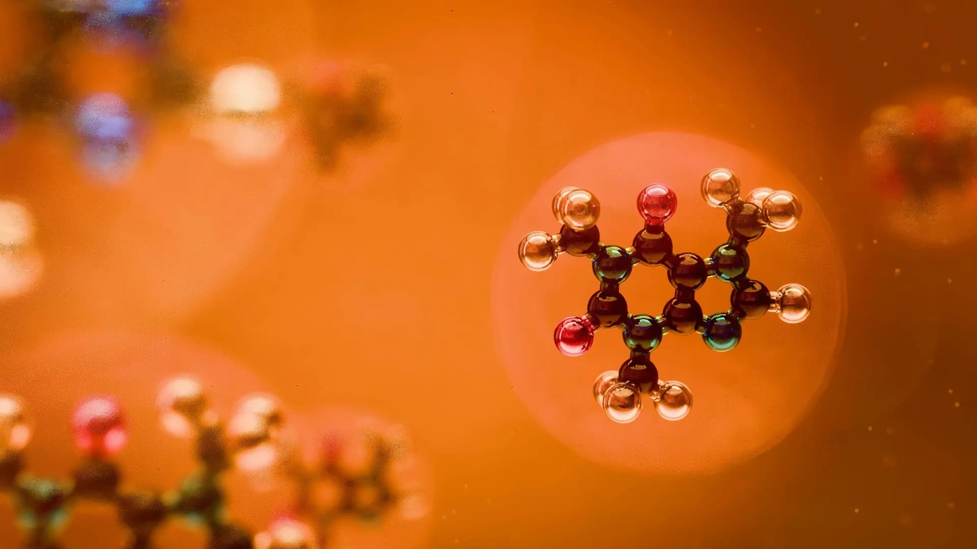 Metabolomics foundation models