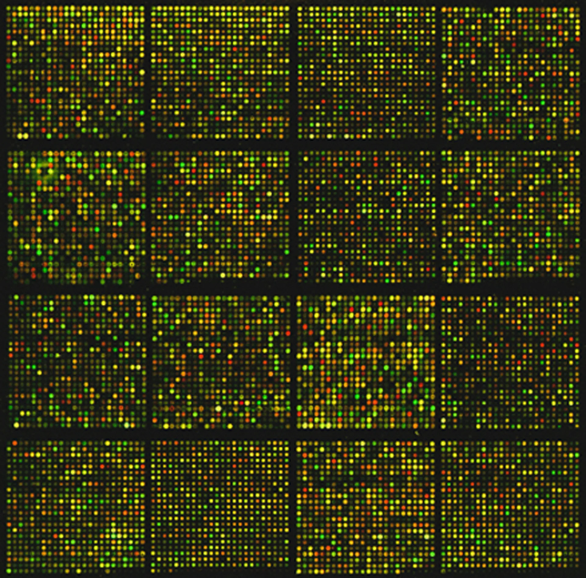 RNA foundation models