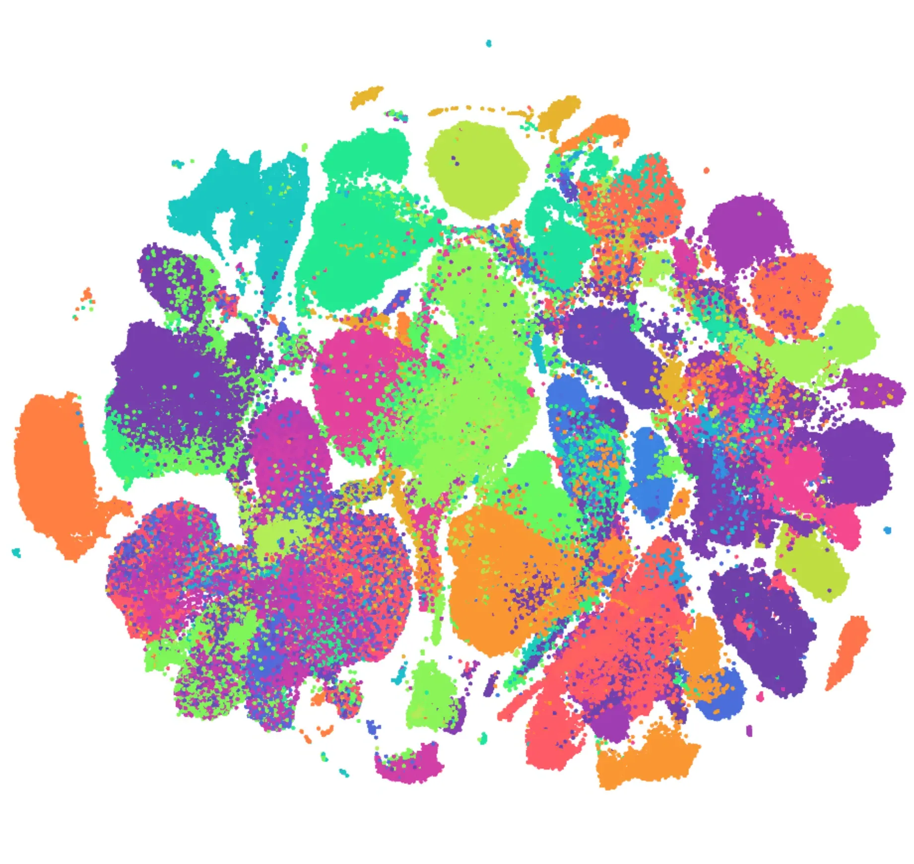 Single-cell foundation models