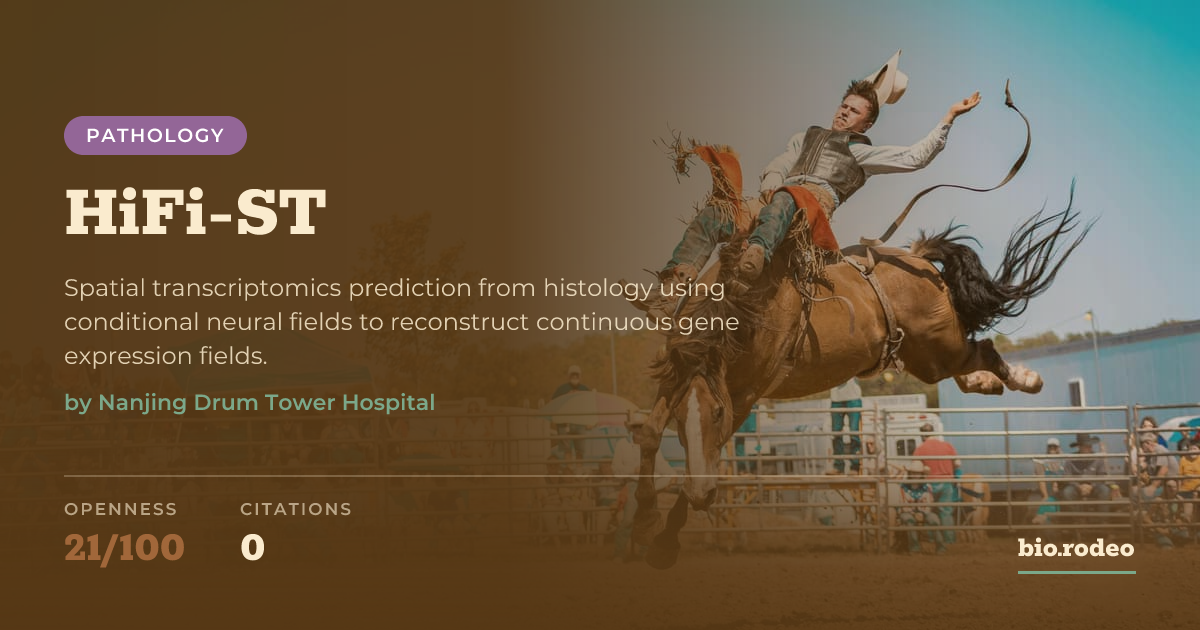 HiFi-ST: Pathology model | bio.rodeo